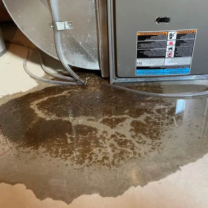 Pipe Burst and Leak Restoration in Newcastle, WY